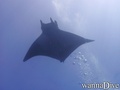 foto de mergulho