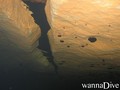 foto de mergulho