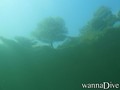 foto de mergulho
