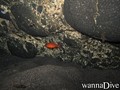 foto de mergulho
