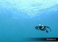 foto de mergulho
