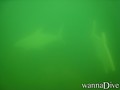 foto de mergulho