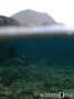 foto de mergulho