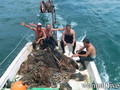 foto de mergulho