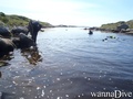 foto de mergulho